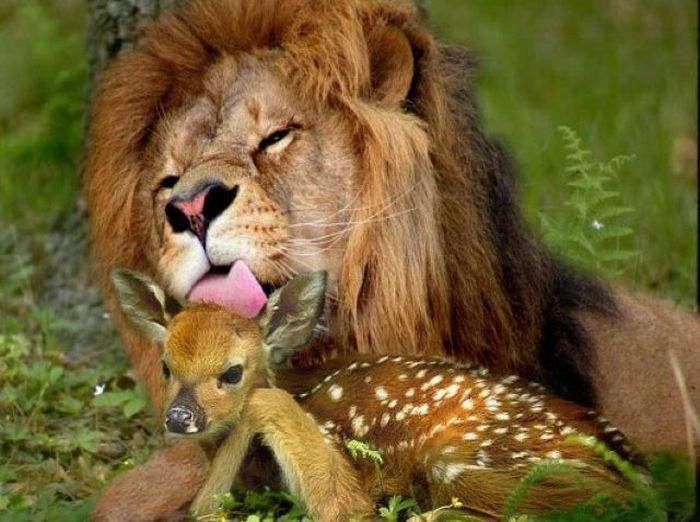 ������ � �������� ��� ��������?