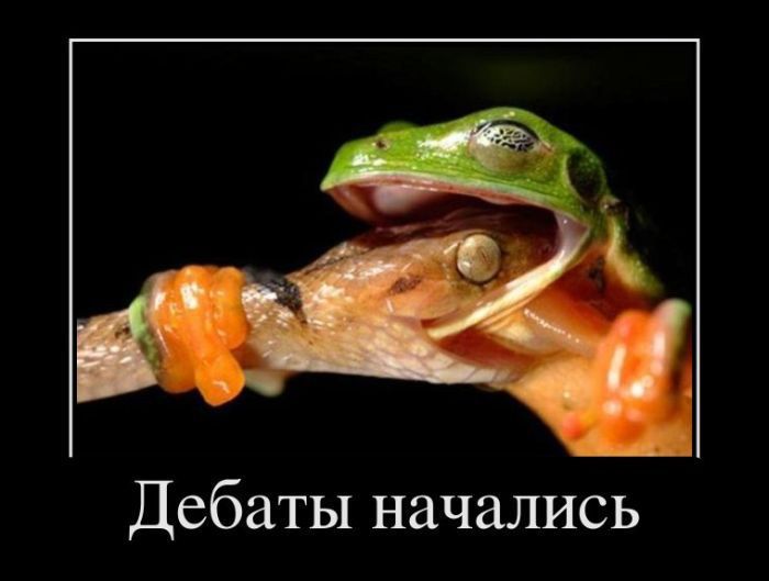 ��� ������?