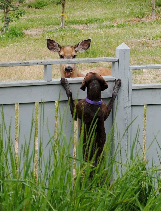 � ��� �����?