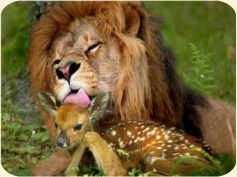 ��� ���������� �����.