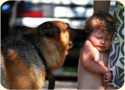 ��� ���������� �����.