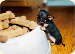 ��� ���������� �����.