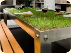 ��� ���������� �����.