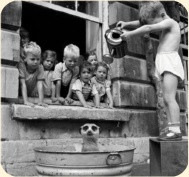 ��� ���������� �����.