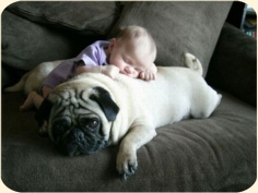 ��� ���������� �����.